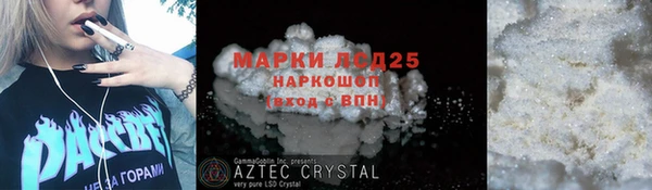 apvp Верея