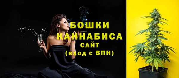 apvp Верея