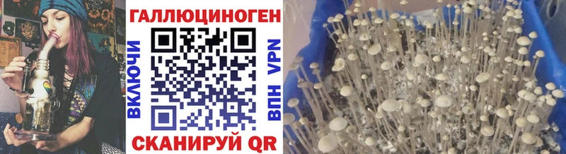 Галлюциногенные грибы мухоморы  Ростов 
